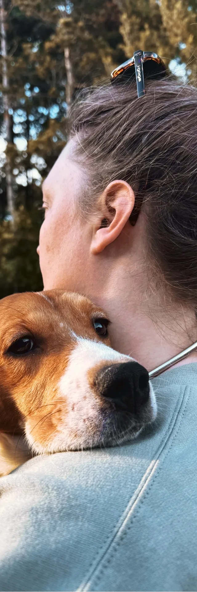 A volunteer carrying a rescued beagle over her shoulder outdoors